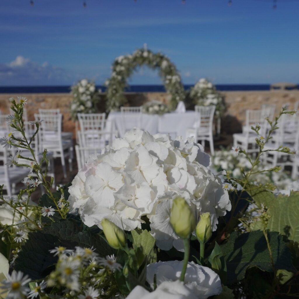 564585366_1216816913799341_601440043349726131_n